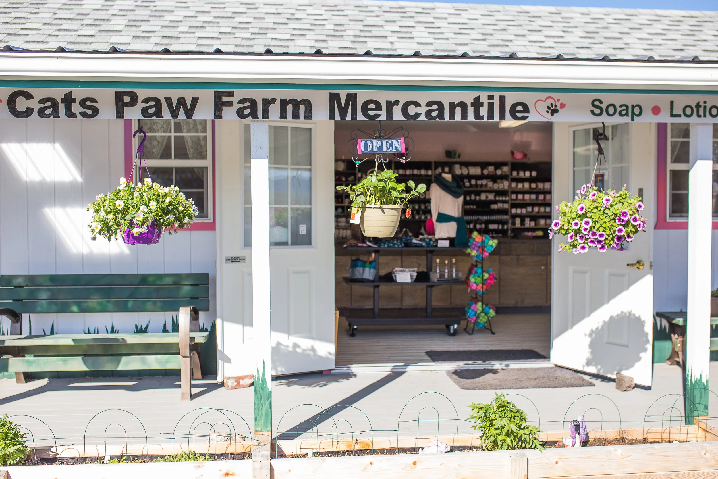 CatsPawFarm-98.jpg