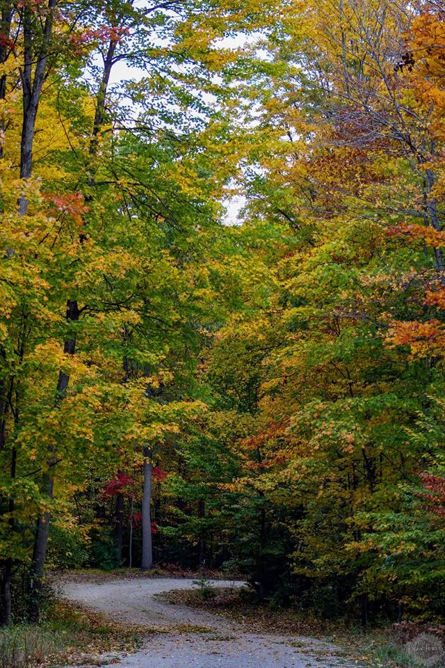 upnorth3.jpg