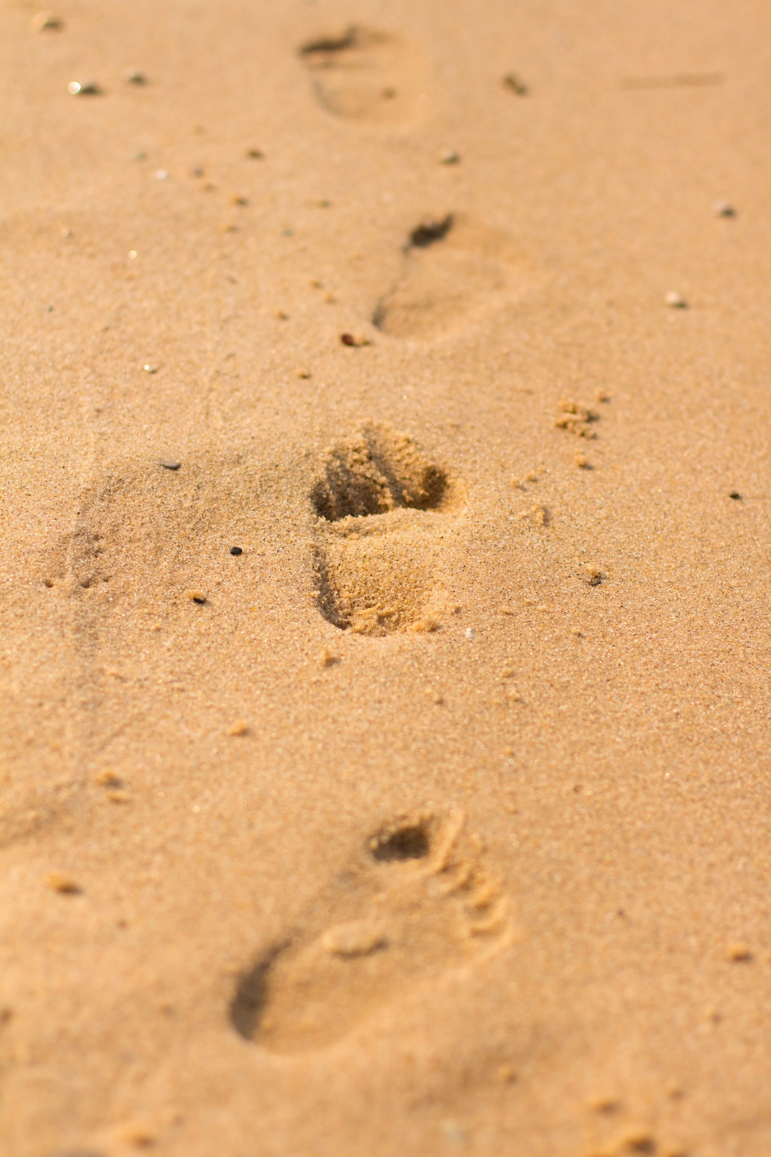 5C4231D1-9154-43E1-BD3E-13581813DB8D 2.JPEG