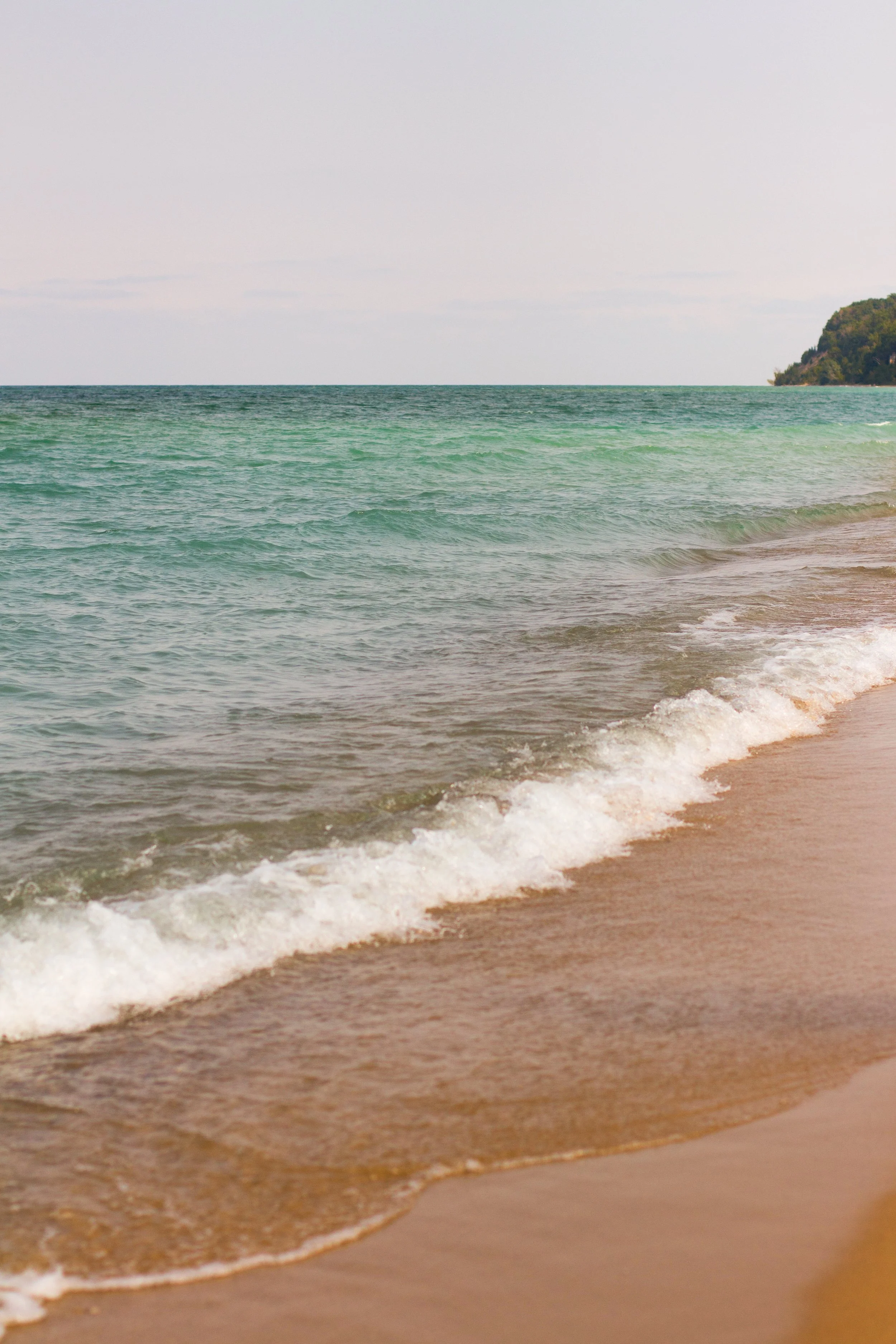 516496E4-3011-49F1-B2E0-4F831C406930 2.JPEG