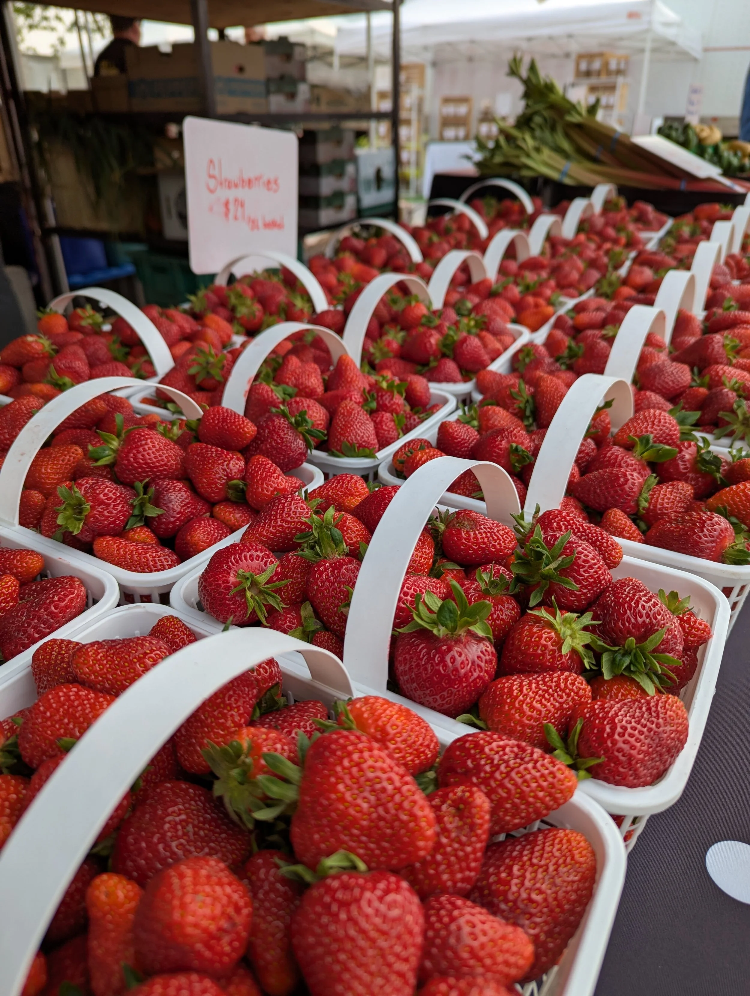 Strawberry Festival