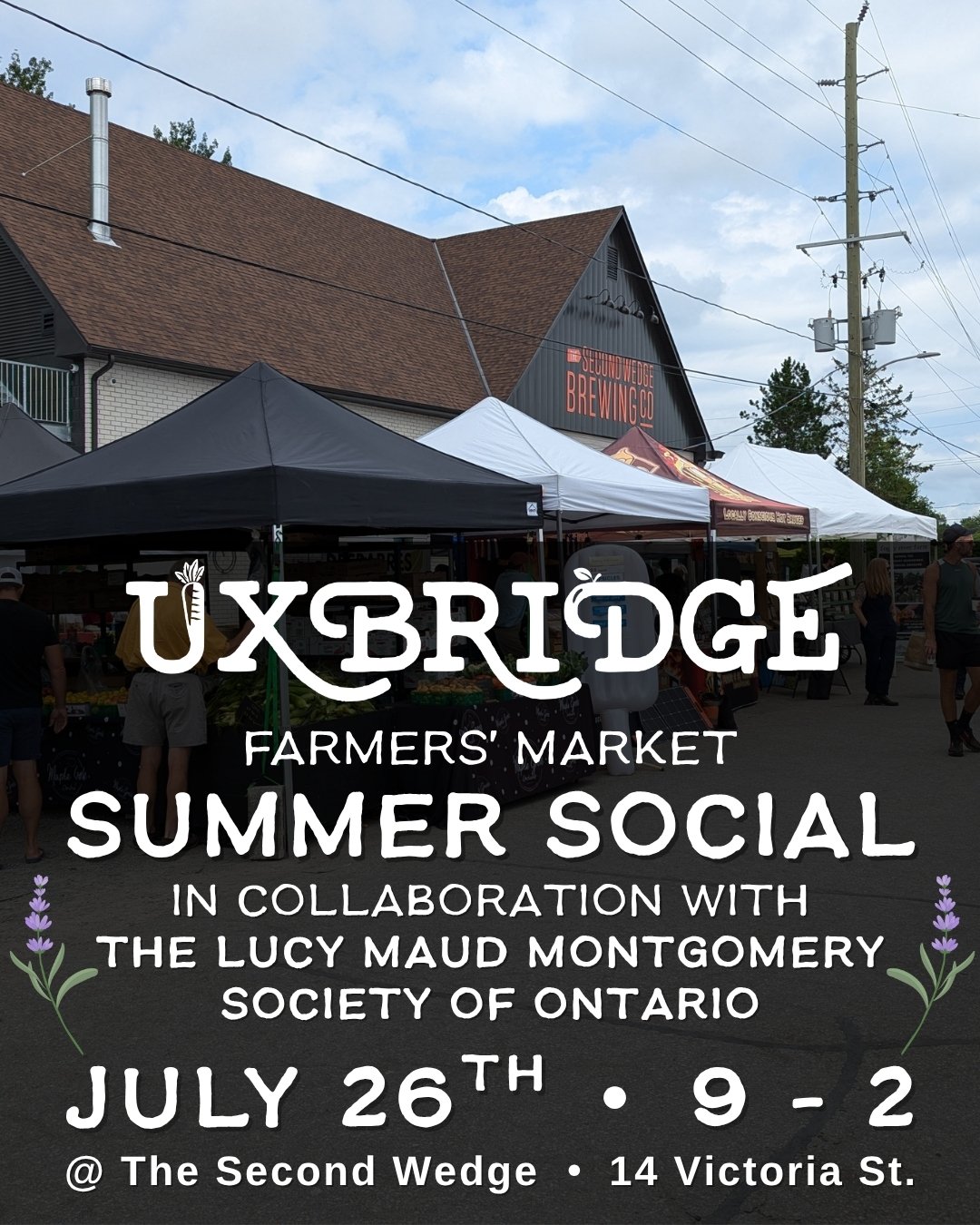SUMMER SOCIAL