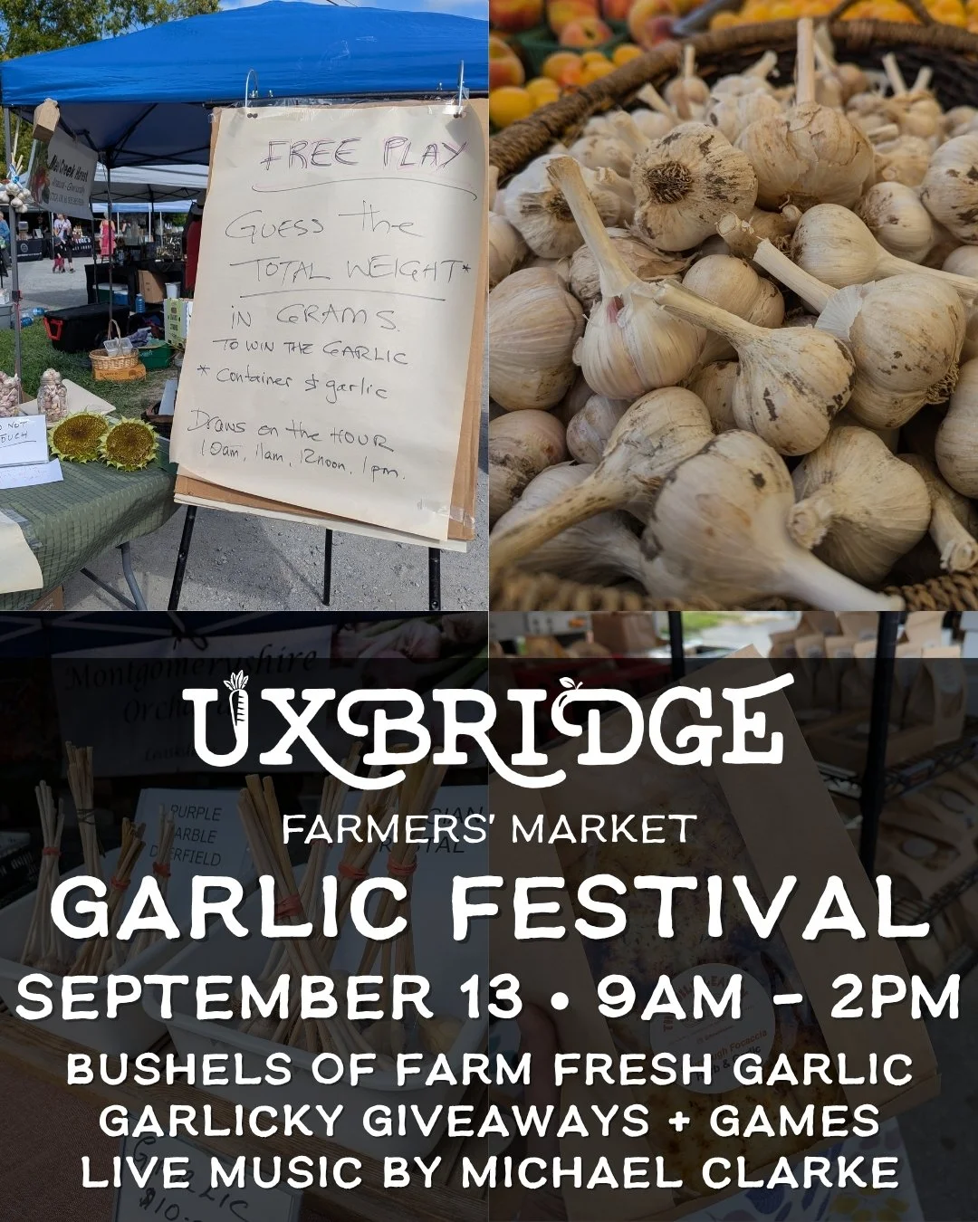 Garlic Festival