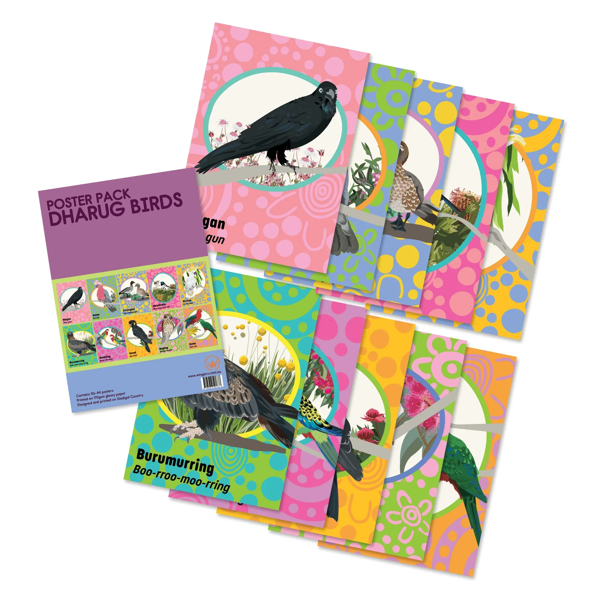 wingaru-education-dharug-language-classroom-posters-birds-pack-image_4717a50a-04f5-49e0-a658-e6ea507969e7.webp