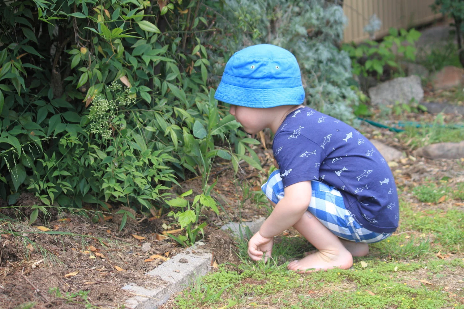 STEM as a platform for learning about Indigenous Australia in the Early Years