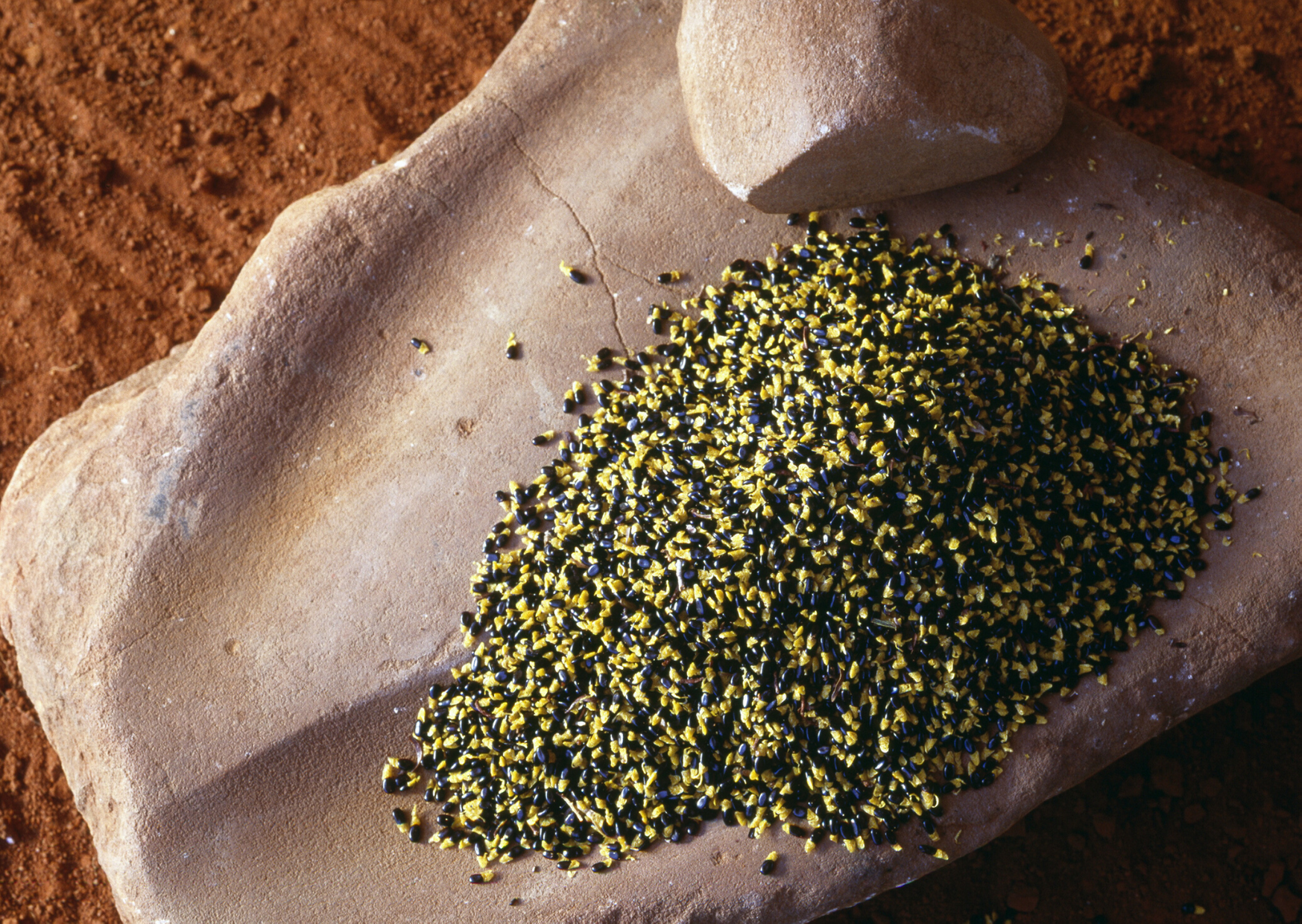 Topic Idea: Learning about Bushfoods 