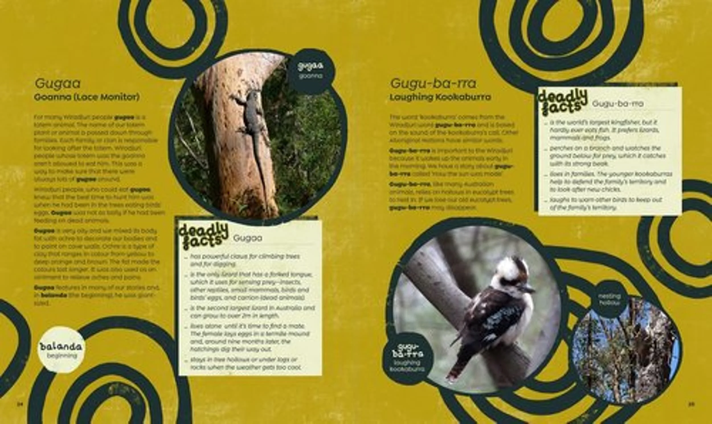 Wiradjuri Country book by Larry Brandy view 3 | Riley Callie Resources