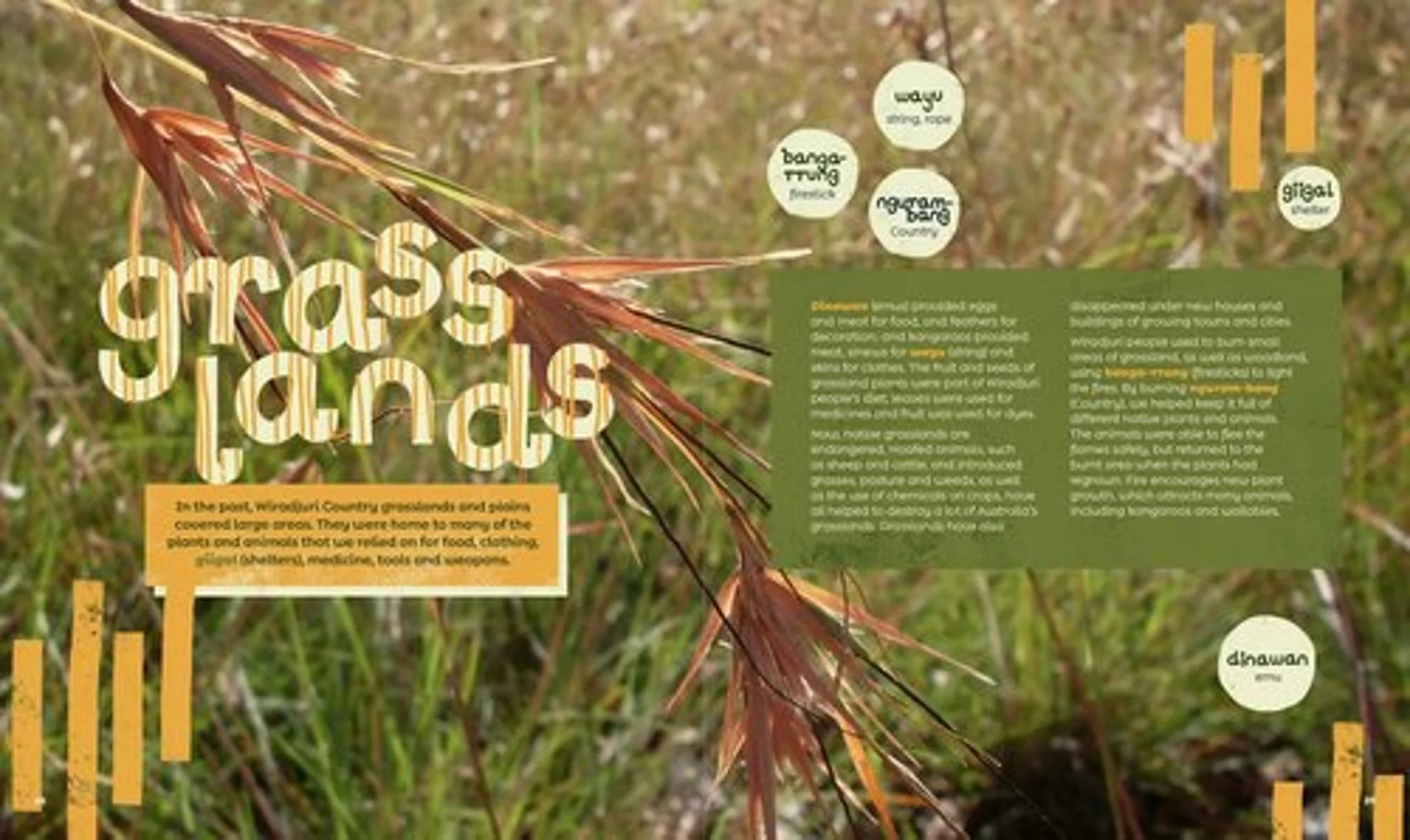 Wiradjuri Country book by Larry Brandy view 2 | Riley Callie Resources