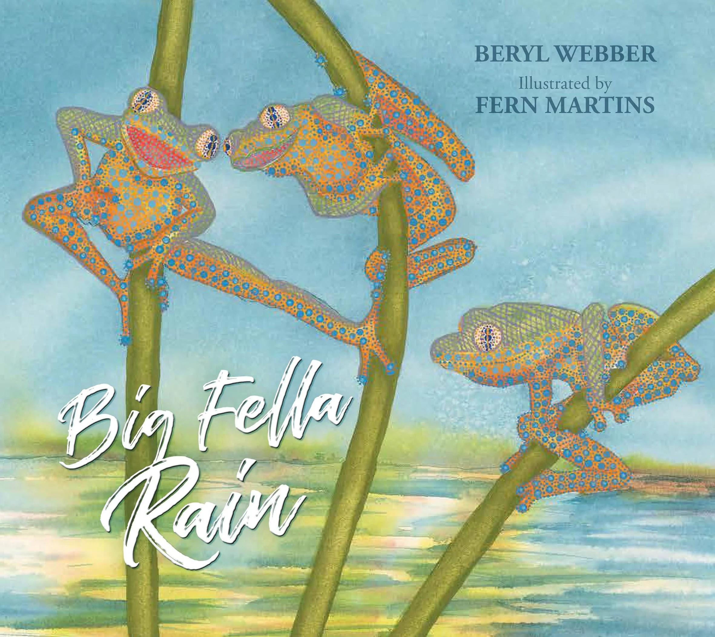 Big Fella Rain Aboriginal Picture Book | Riley Callie Resources