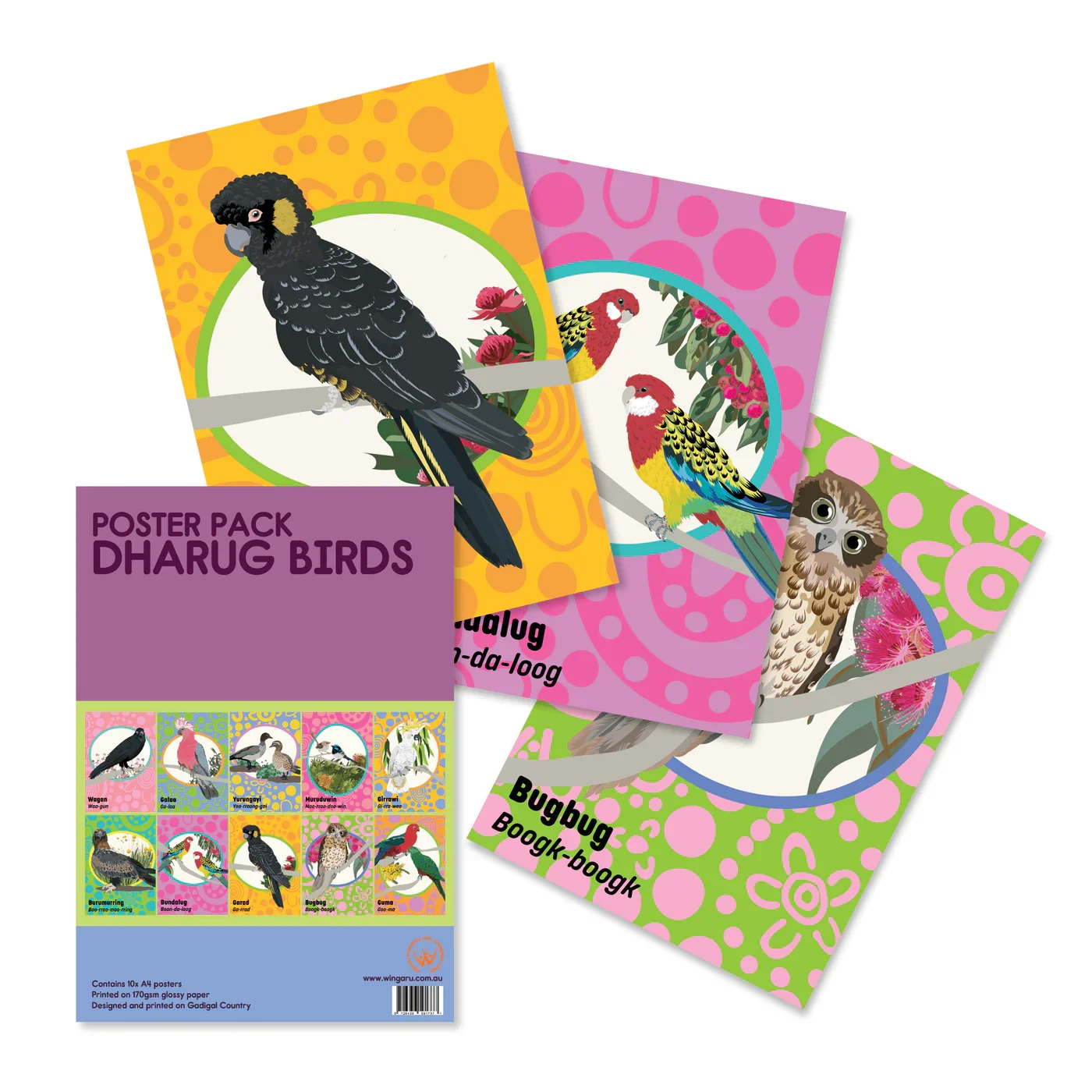 wingaru-education-dharug-language-classroom-posters-birds-hero-image_5a583532-3448-4c26-ac7e-277fa6c69900.webp