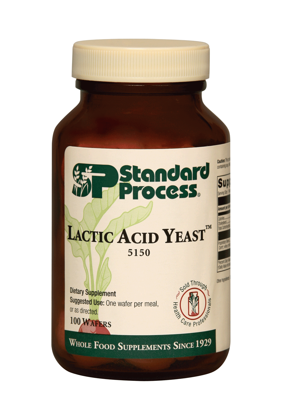 lactic acid yeast.gif