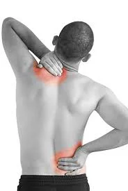 Prevention and Treatment of Low Back Pain