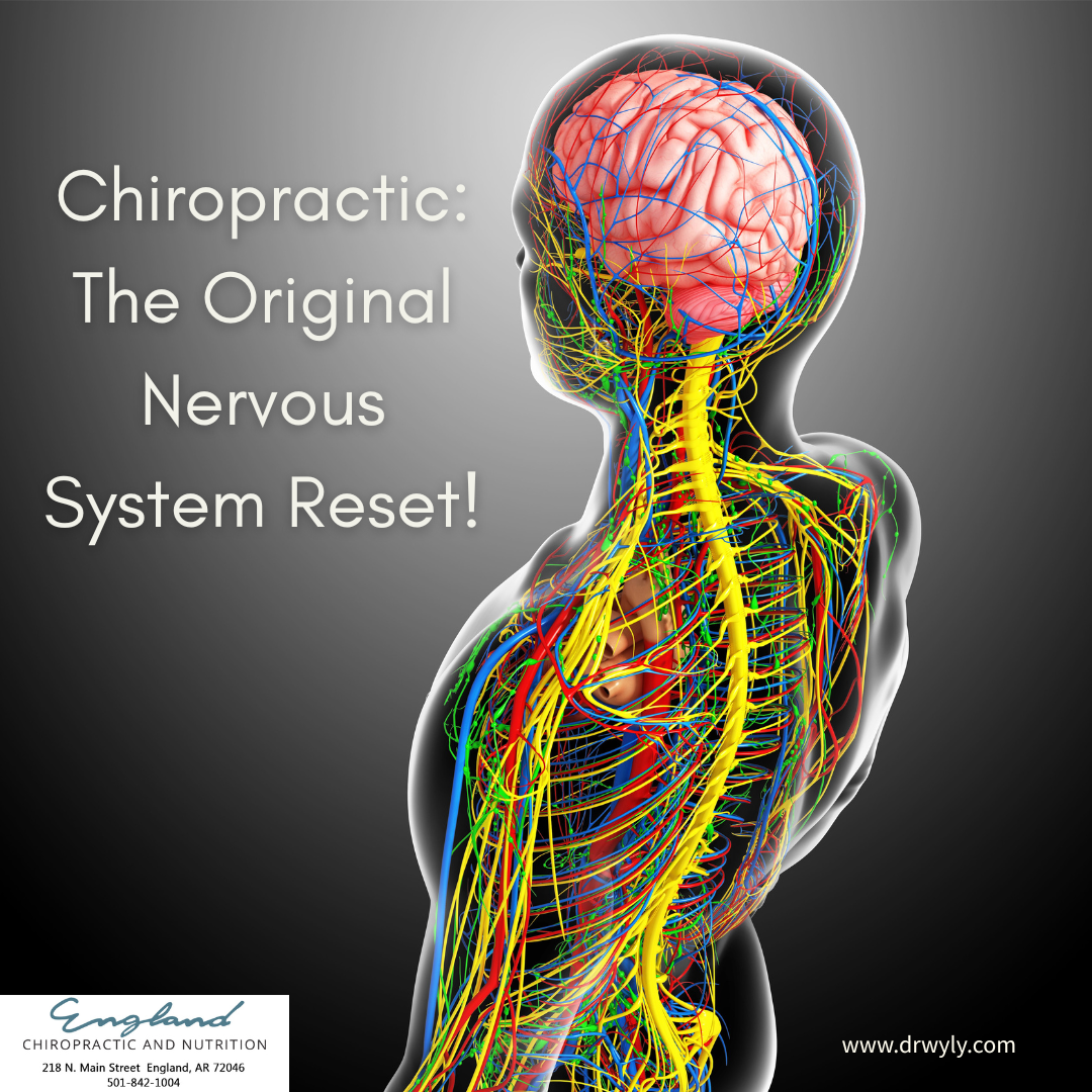 Chiropractic - The Original Nervous System Reset
