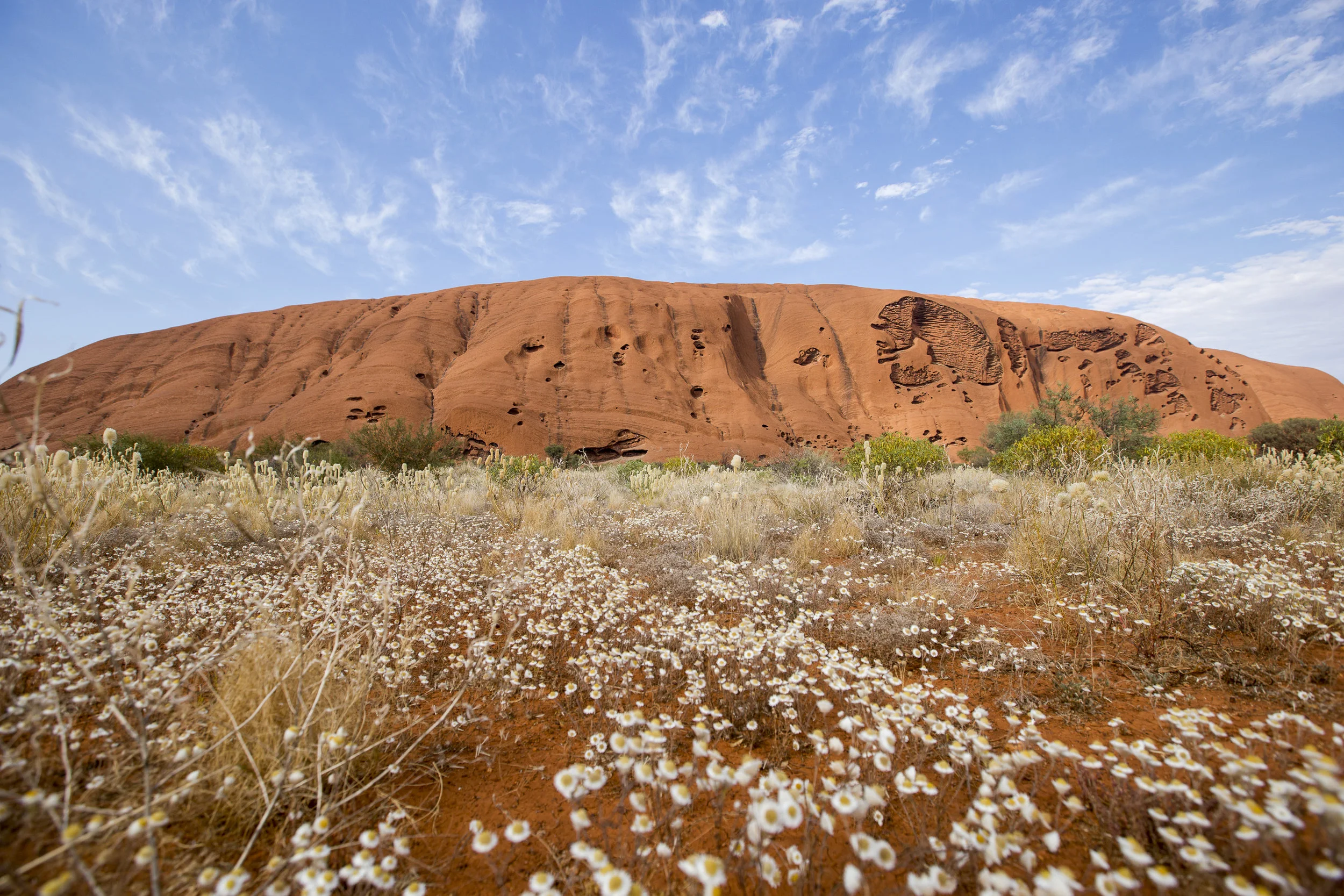20161110_ULURU_By Guy Sherlock_216.jpg