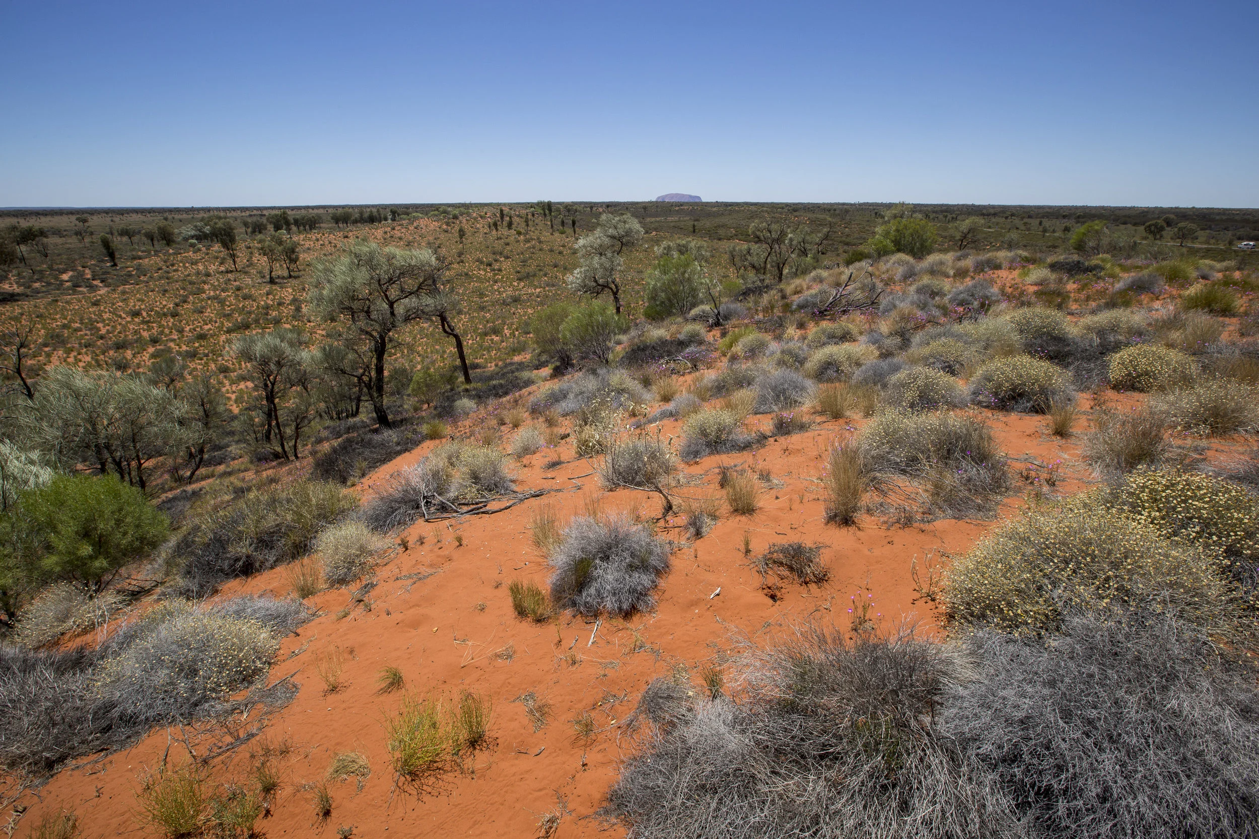 20161113_ULURU_By Guy Sherlock_756.jpg