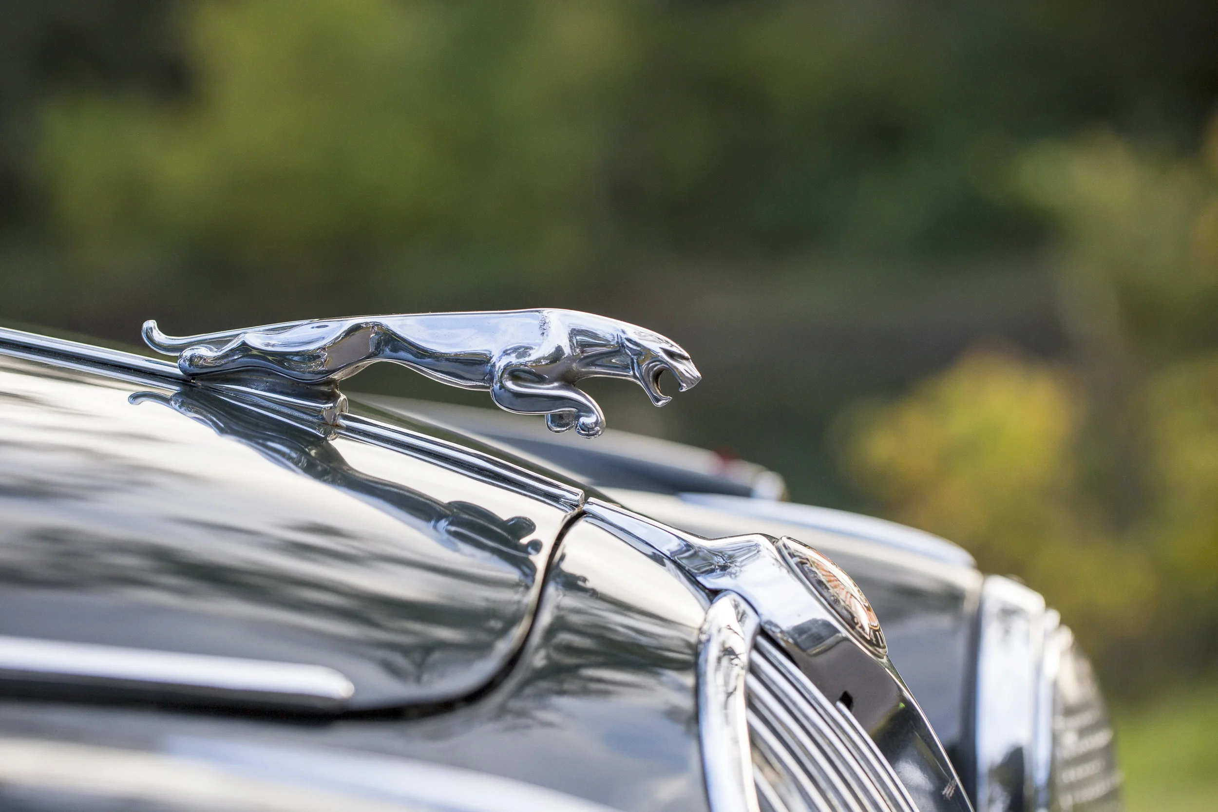 20180425_JAG 240_By Guy Sherlock_002_HIGH_RES.jpg