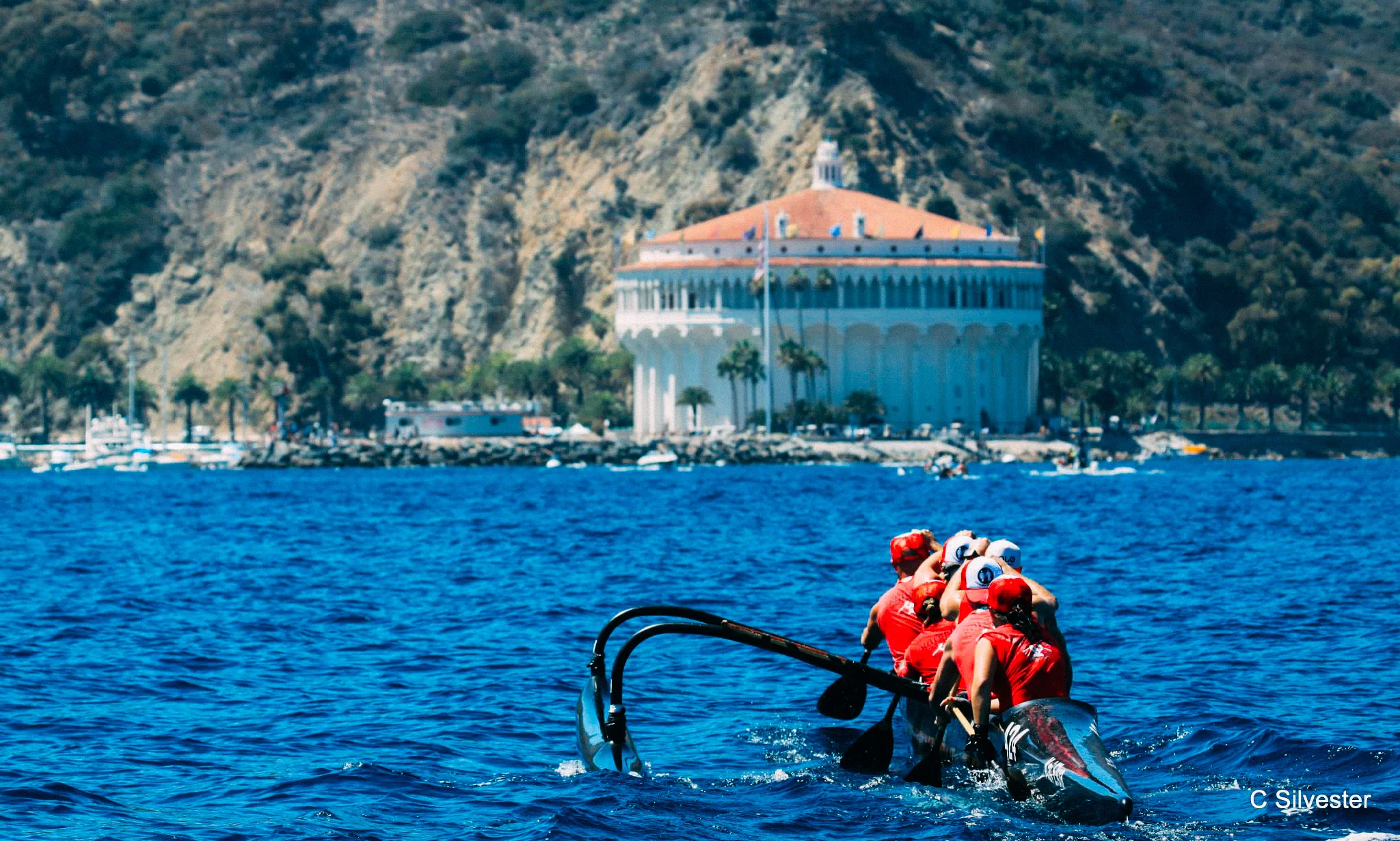 Catalina_COED_2015.jpg