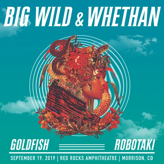 BigWild_Whethan_2019_564x564-1.jpg