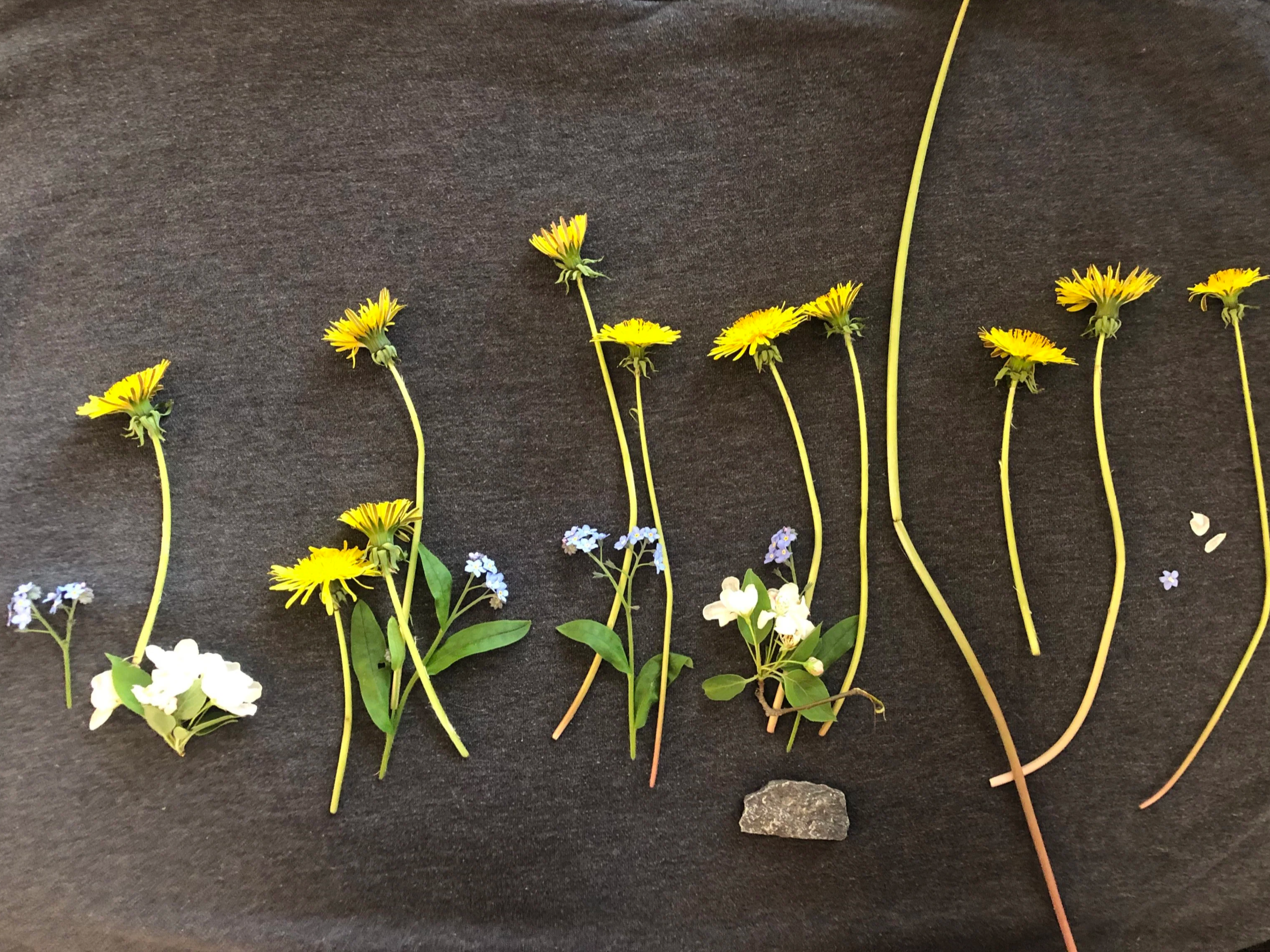 image_67194881.png