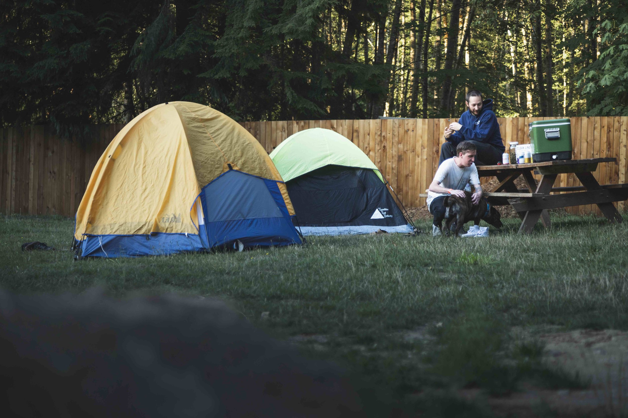 Adult Camp tents.jpg