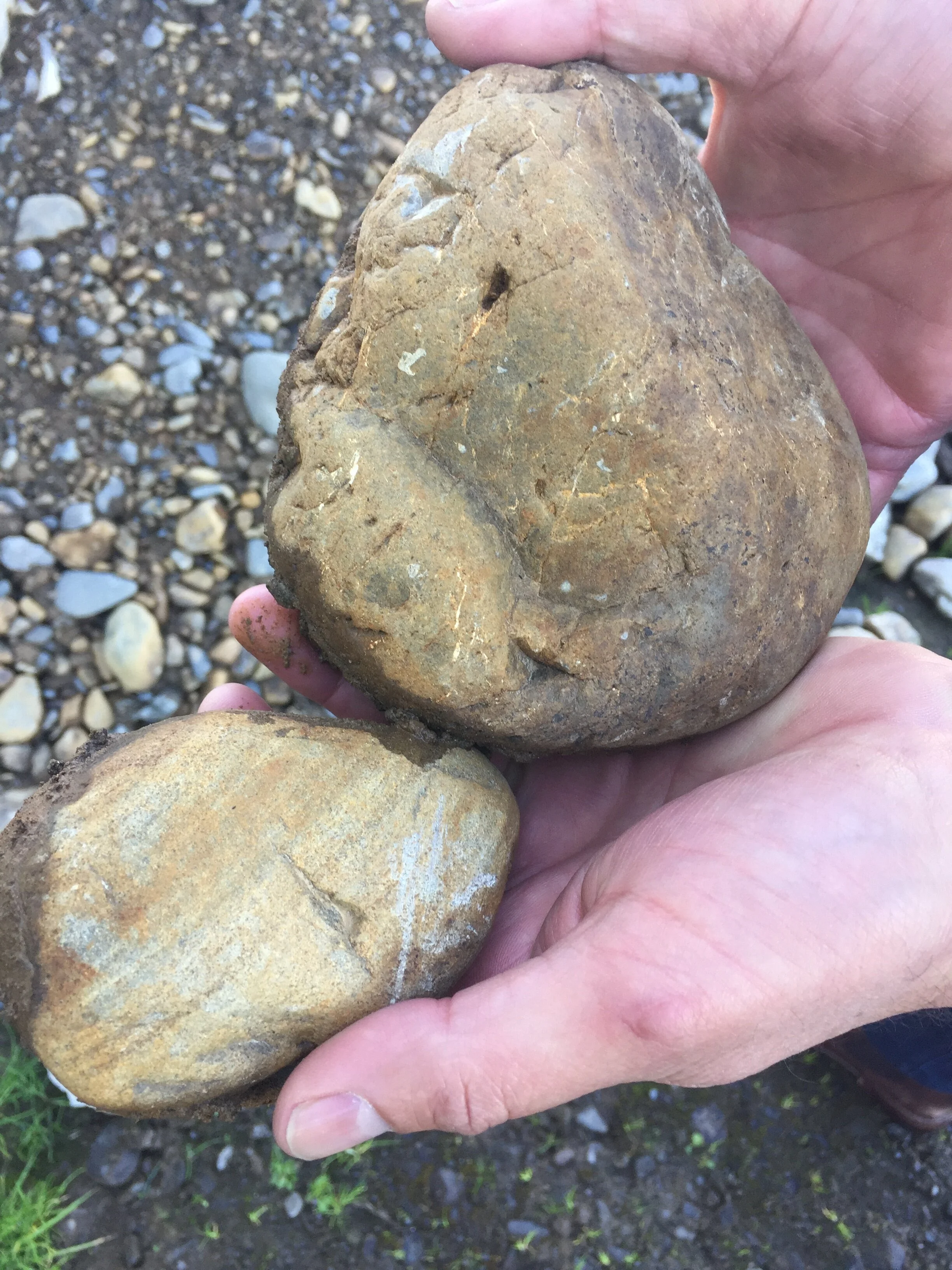 Visiting Hawkes Bay?