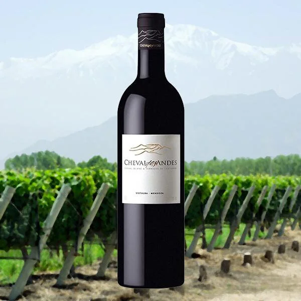 Rare 100 point score for south American wine - Cheval des Andes Red 2017