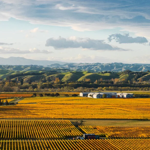 Gimblett Gravels 2018 Annual Vintage Selection