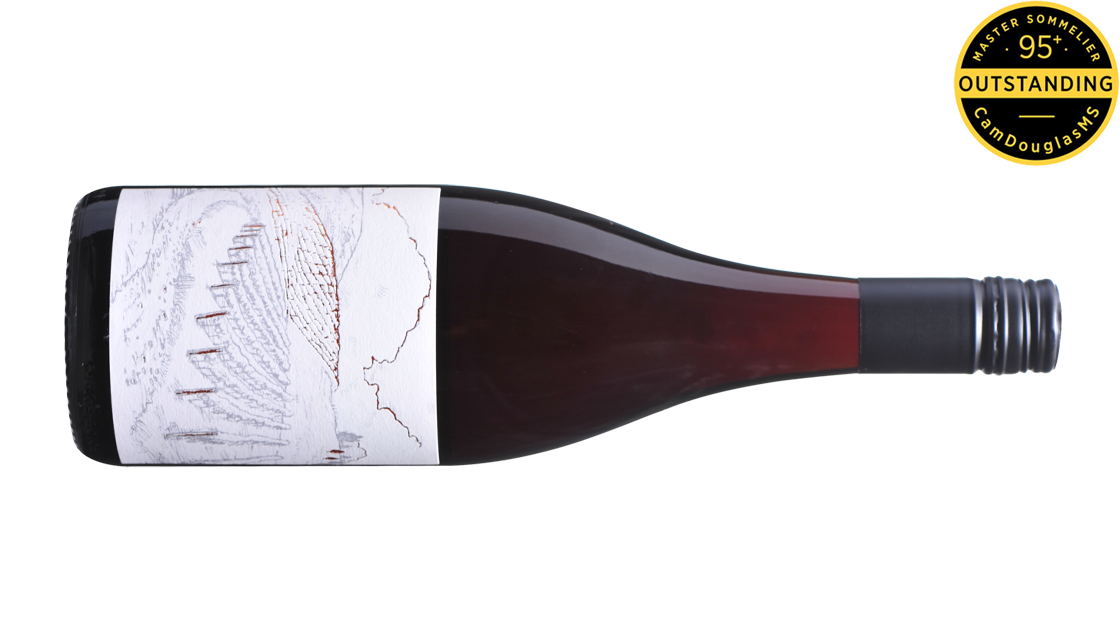 Greystone Vineyard Ferment Pinot Noir 2019, North Canterbury