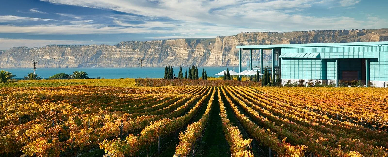 Elephant Hill appoints new head winemaker