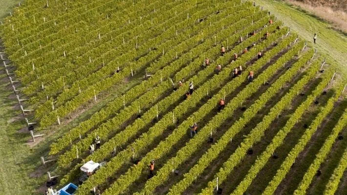 Receivership of FFWL Ltd