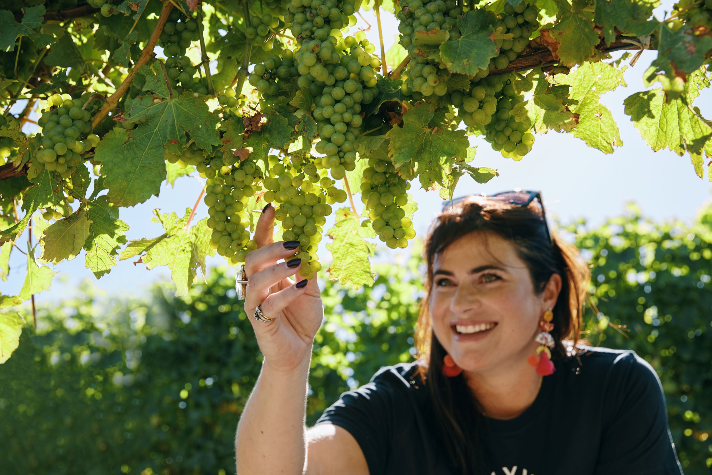 An excellent day for New Zealand wine and Women in wine