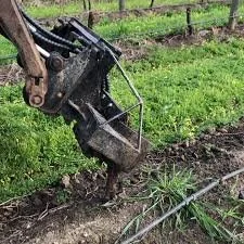 Australian vine growers rip out millions of vines 