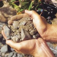 Gimblett Gravels Annual Vintage Selection Release 2023 wines