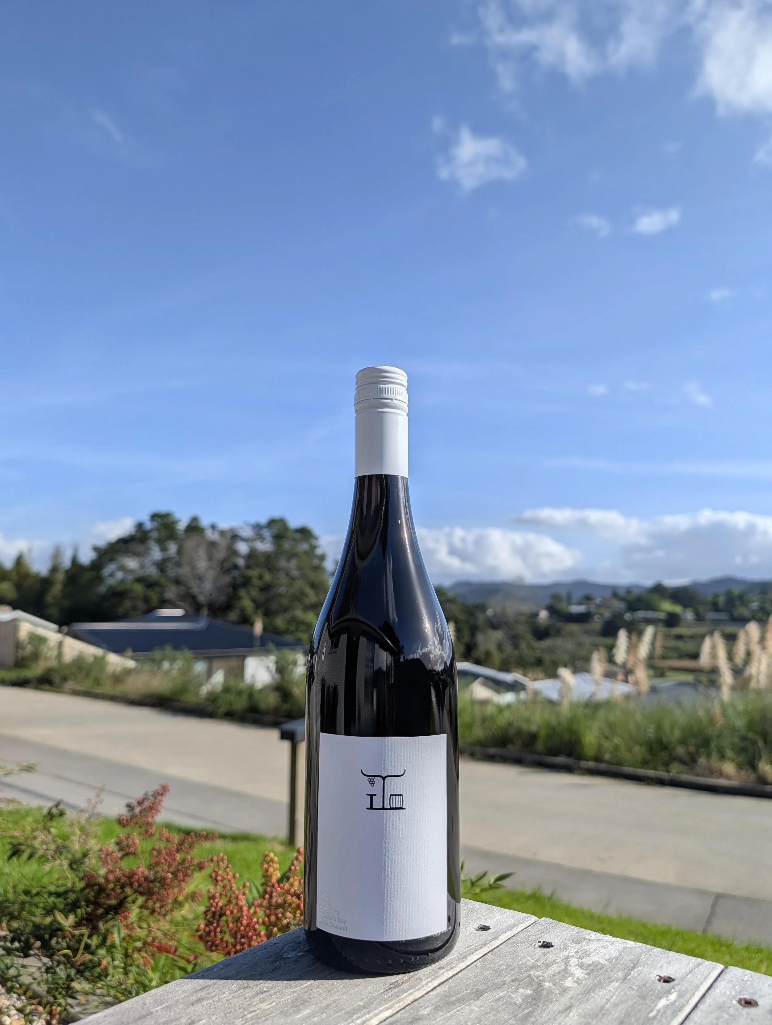Yin's Wines Syrah 2025, Bridge Pa, Hawke's Bay