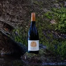 Wet Jacket Syrah 2024, Central Otago