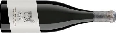 Aylés Vino de Pago Cuesta del Herrero 2023, Spain