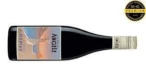 La Belle Angèle Gamay 2025, France