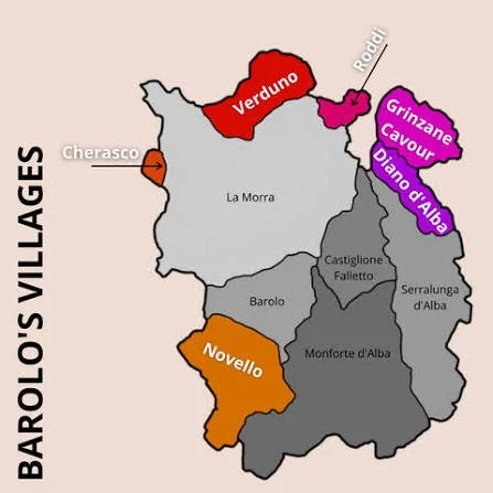 Barolo tasting led by Master of Wine David Gleeve