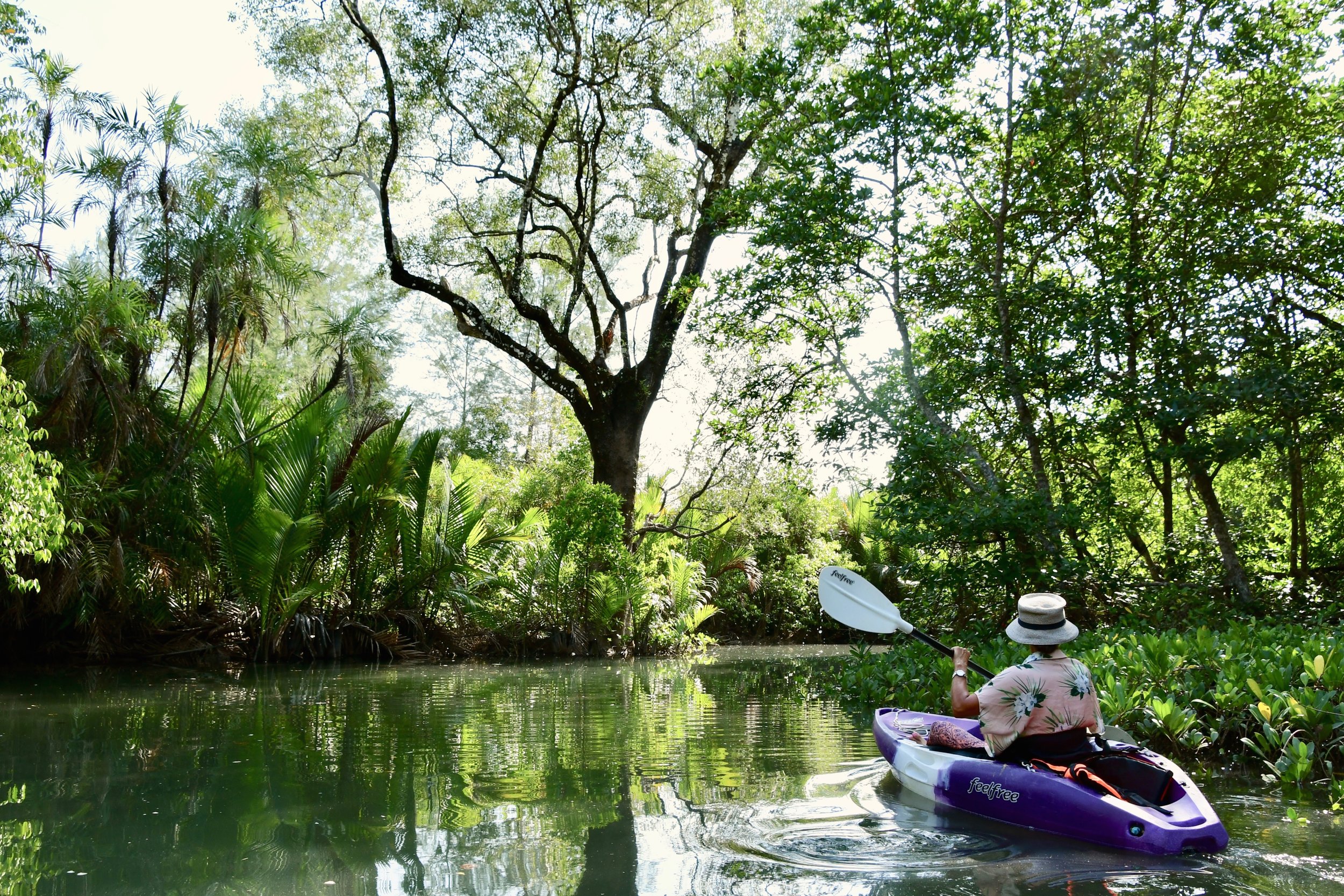 Andaman Holiday