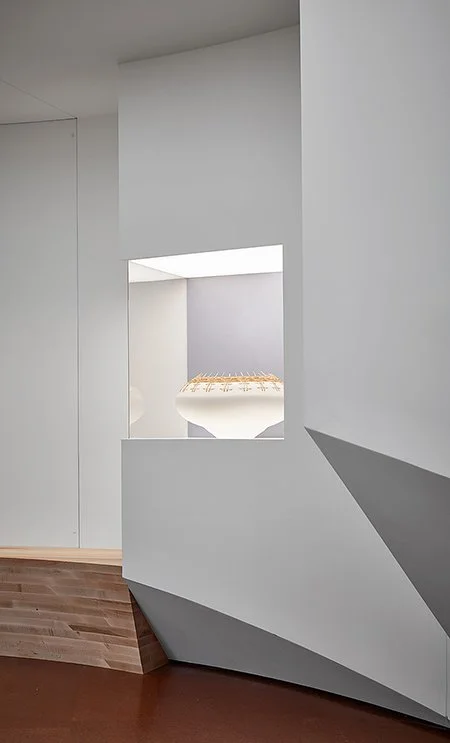 WEB_knowledge beings_09.jpg