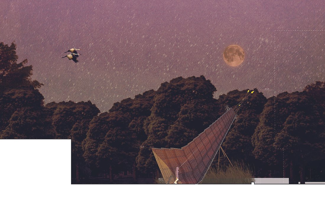 WEB_lawrence_rendered section_night.jpg