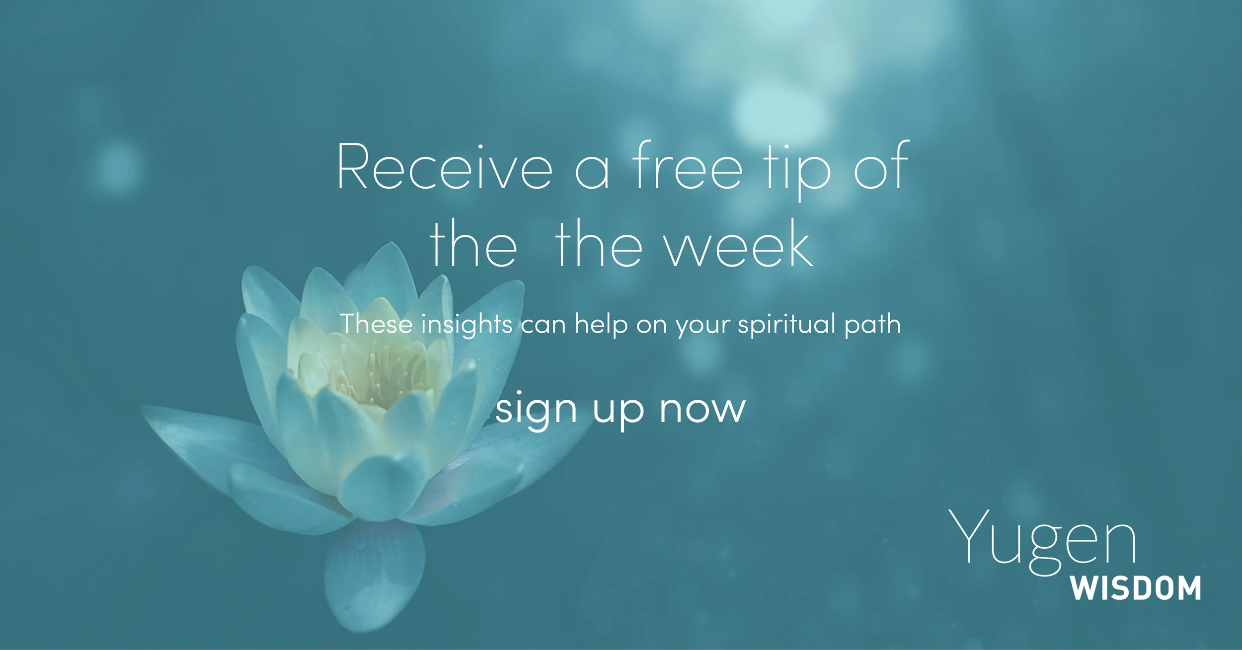 Sign up to our free email Tip of the Week