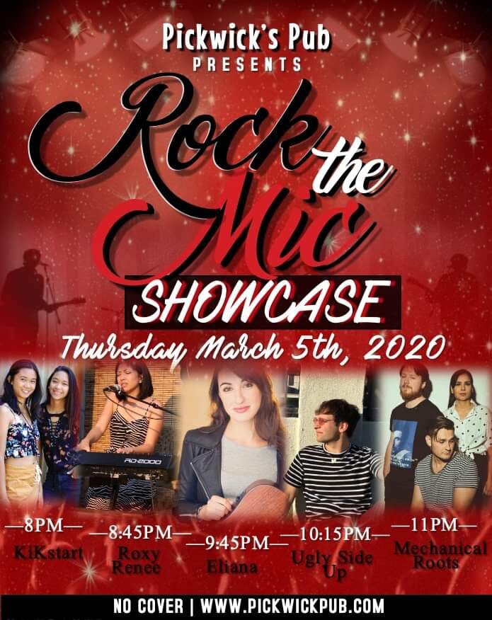 Mechanical Roots Live at Picwicks Pub (Acoustic Set) 