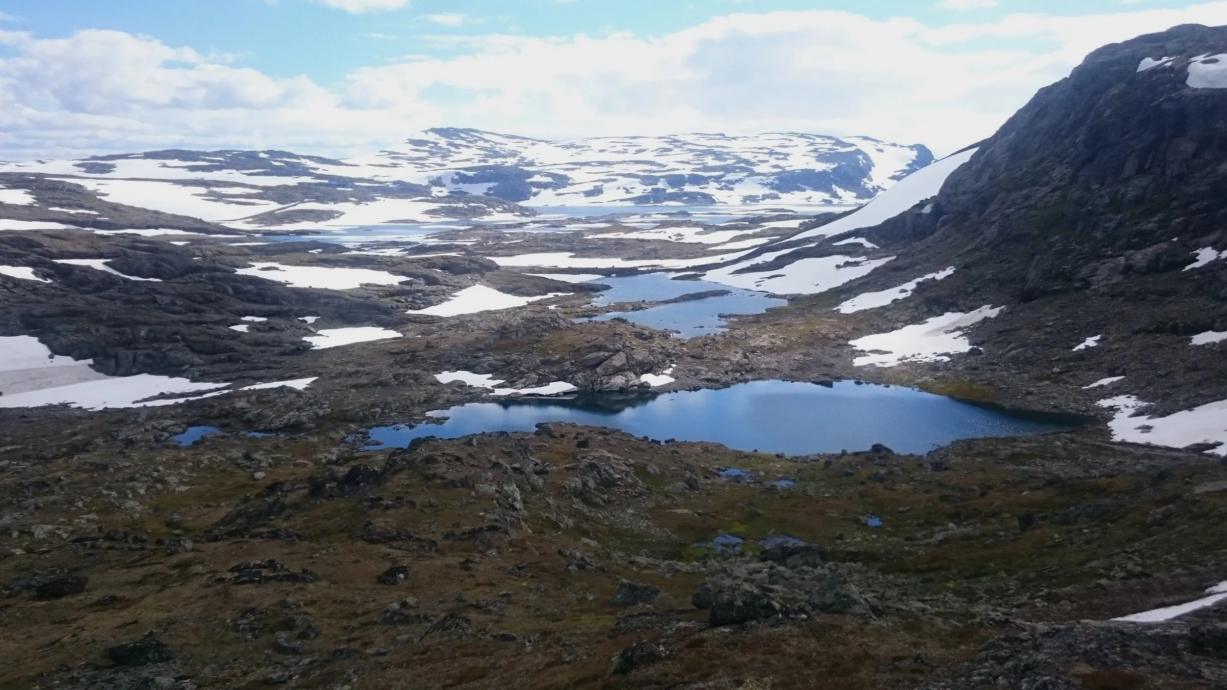 Velkommen til Aurland fjellstyre