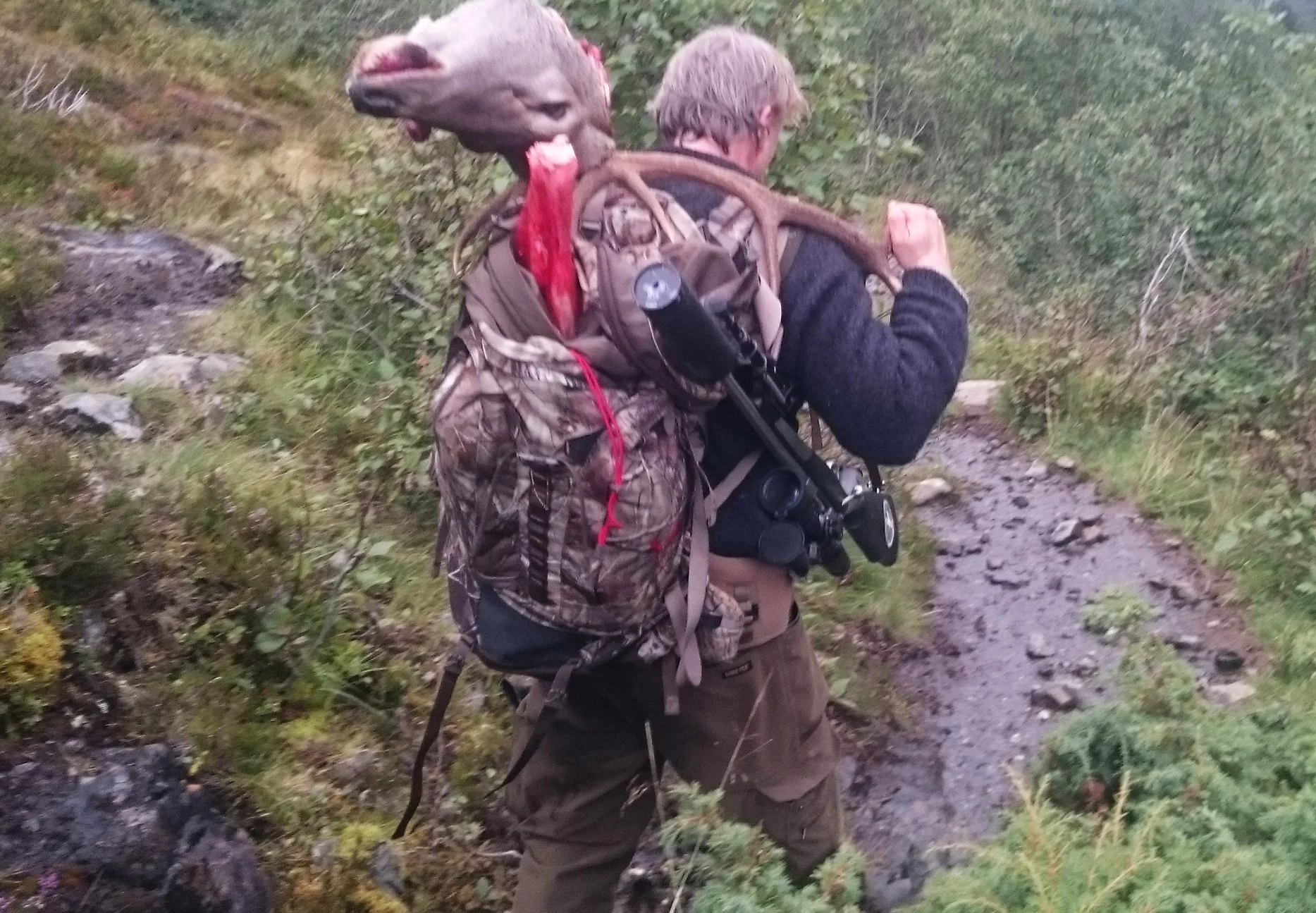 Dagskort for hjortejakt