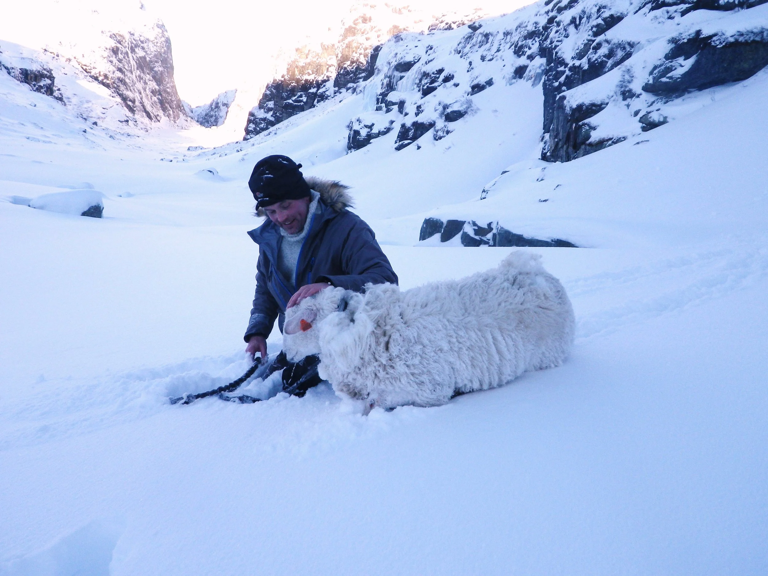Kjetil Tønnessen med lammet i Hunabotn (foto H. Øydvin)