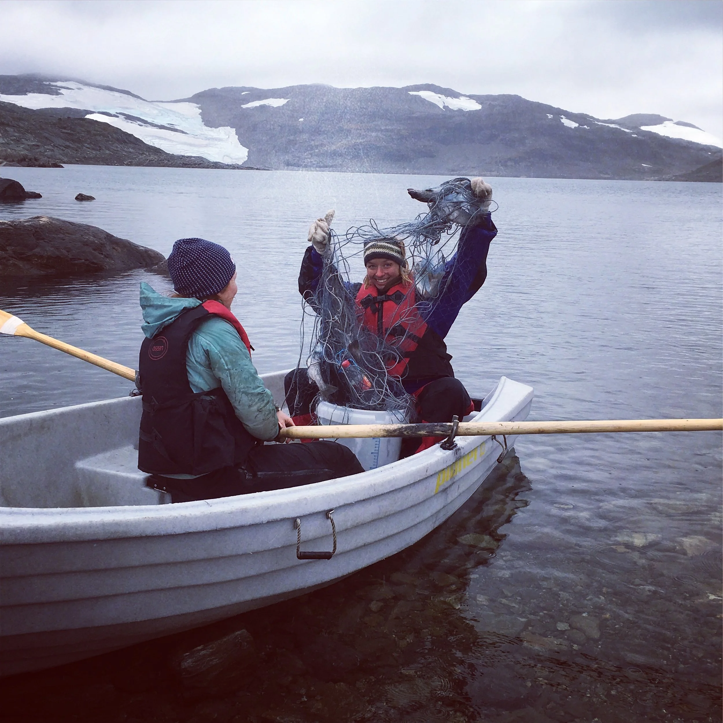 Garnkort og Aurlandskortet for sesongen 2019