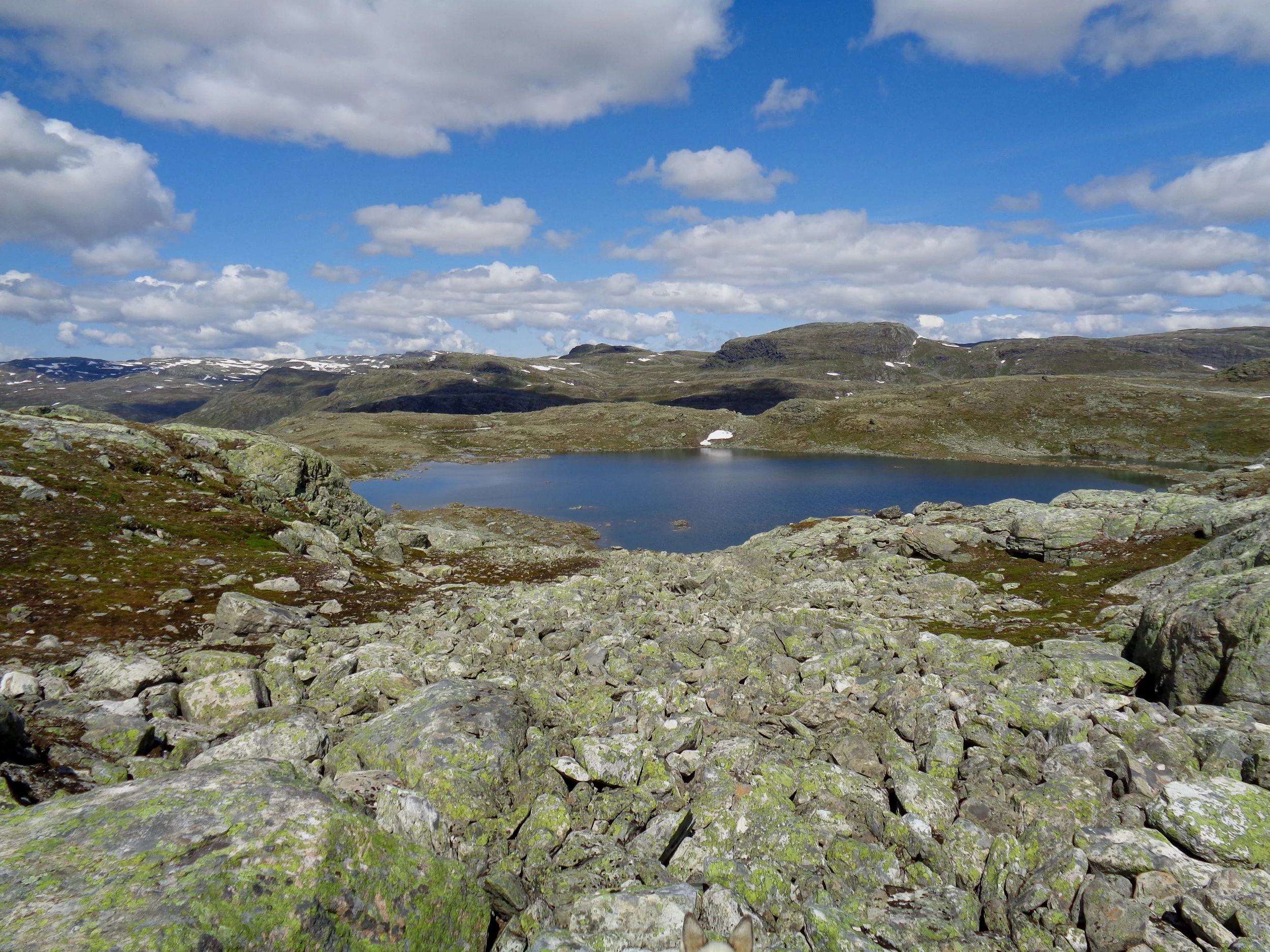 Opne fjellvatn, lite snø
