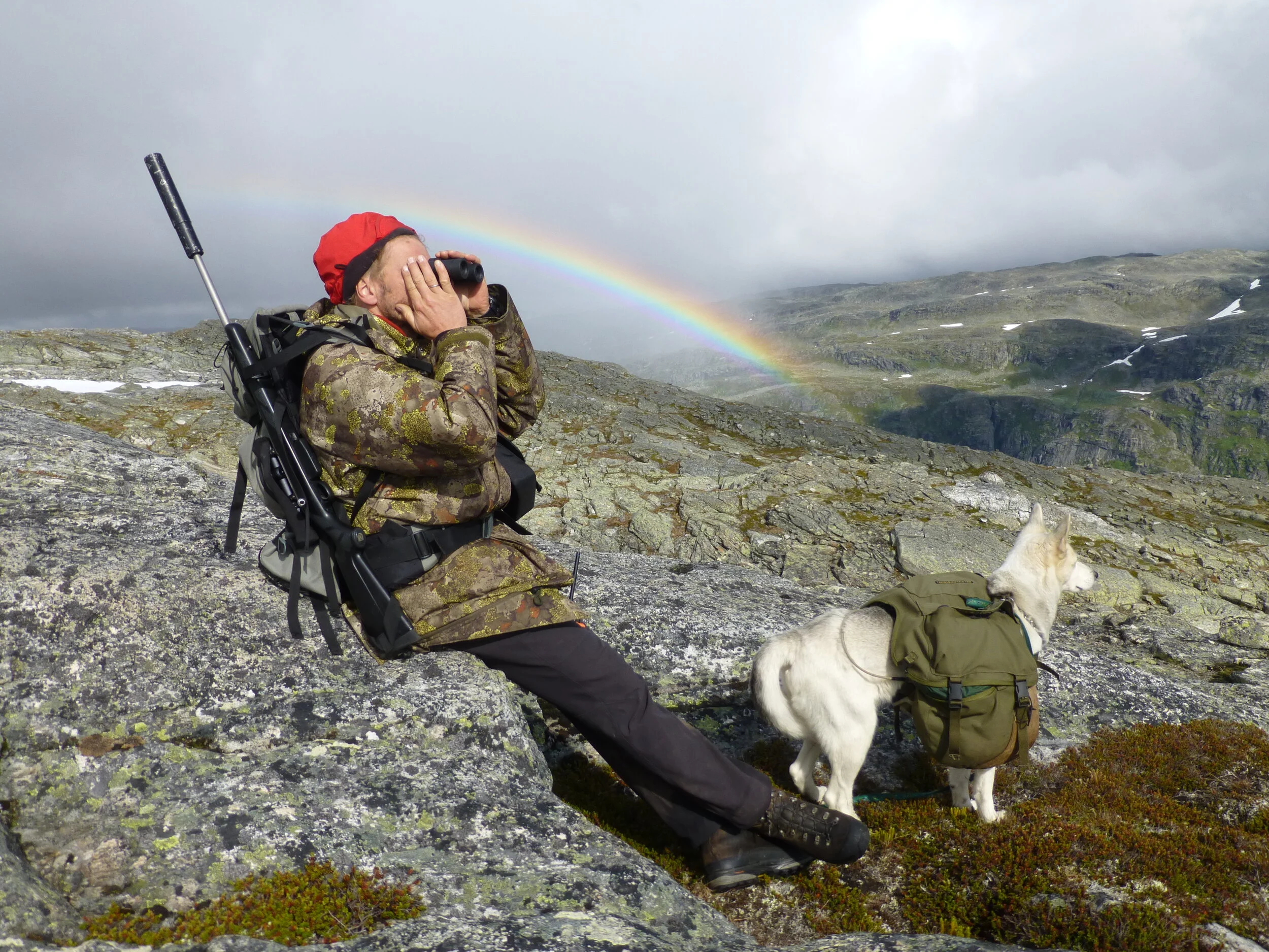 Dagskort på villreinjakt - søknadsfrist 1. august