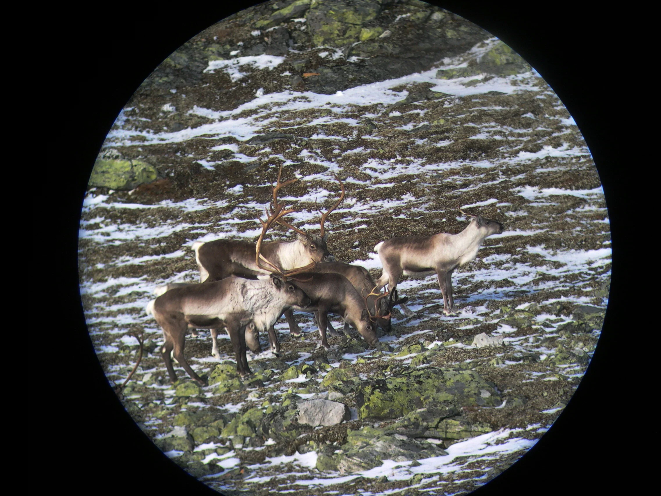 Samjaktavtale for sone 2 i Nordfjella